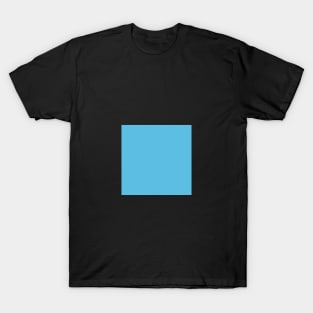 Z. Blue T-Shirt